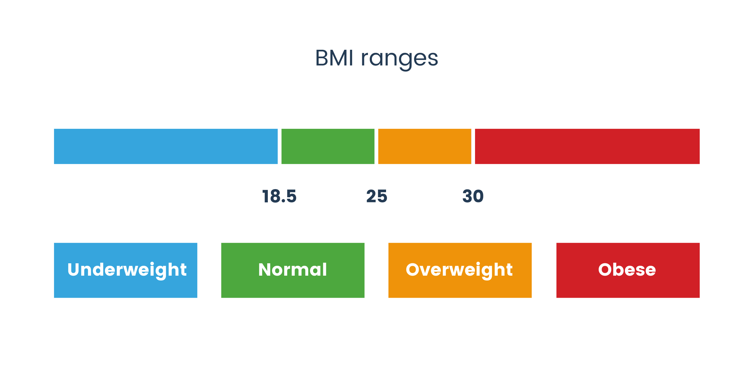 EN BMI Ranges