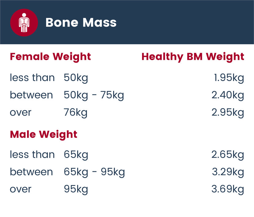 EN Bone Mass
