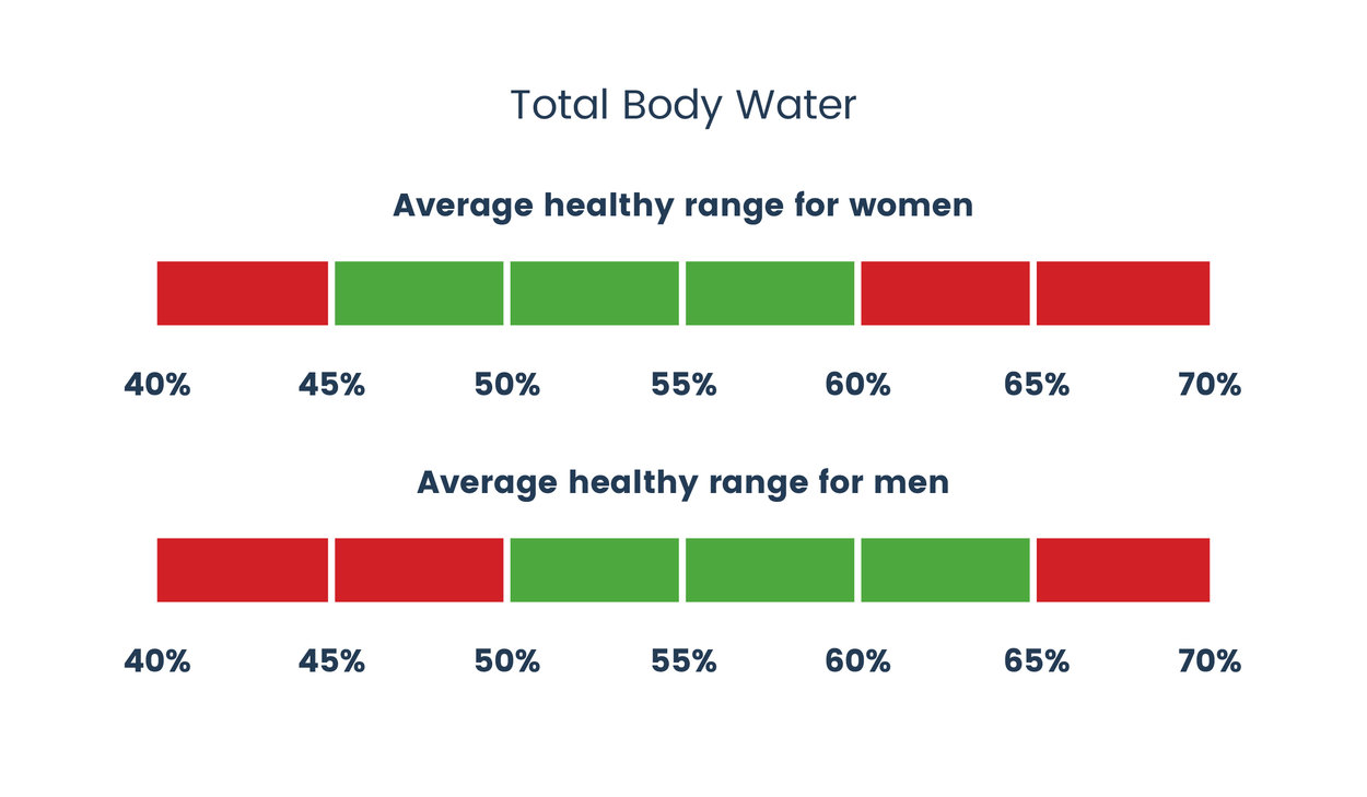 EN Total Body Water