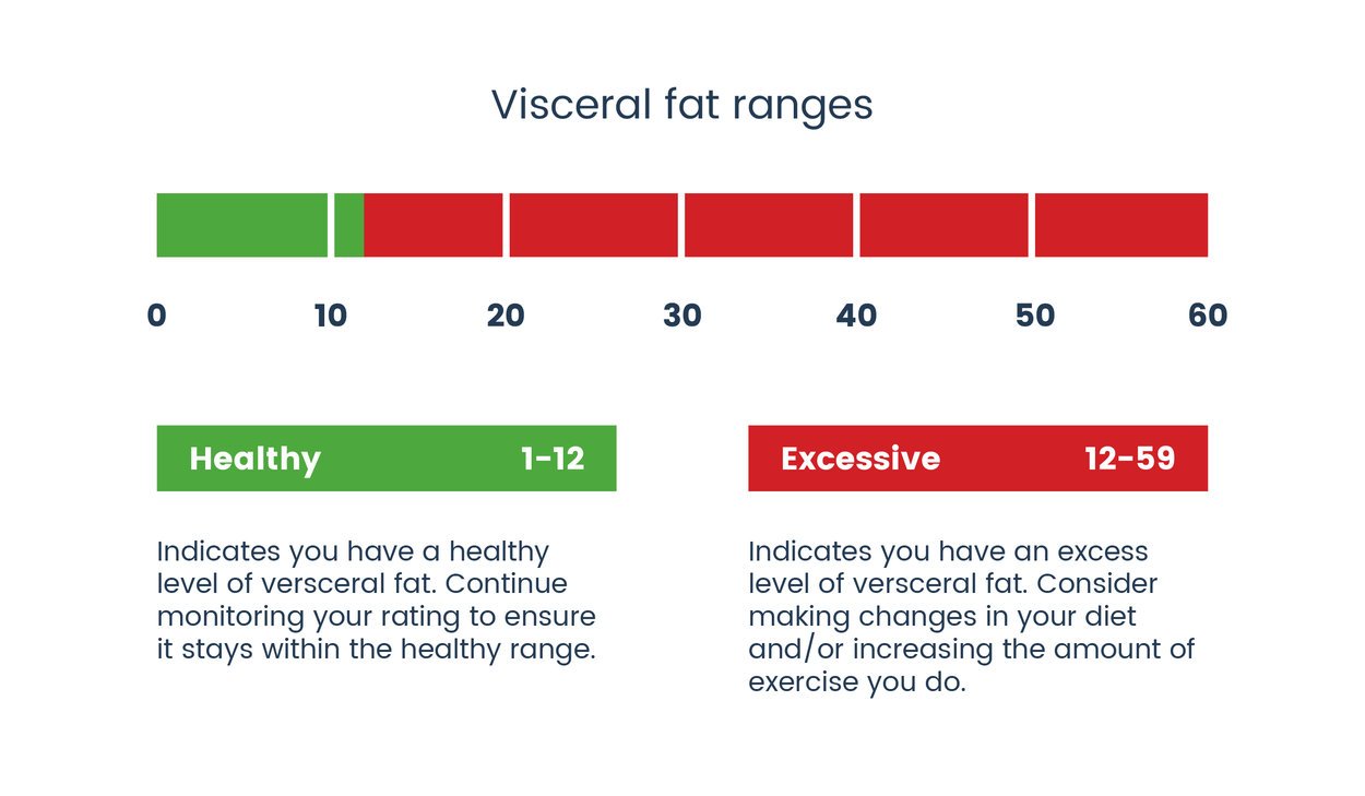 EN Visceral Fat Ranges
